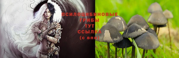 COCAINE Армянск