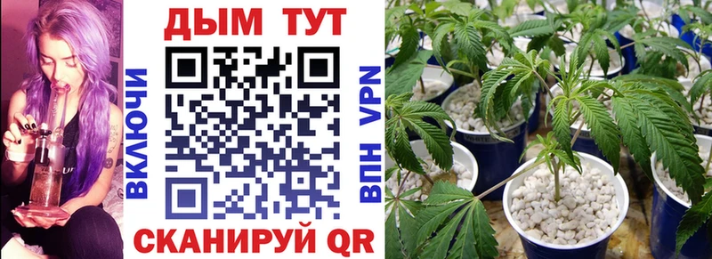 mega зеркало  Тара  МАРИХУАНА гибрид 